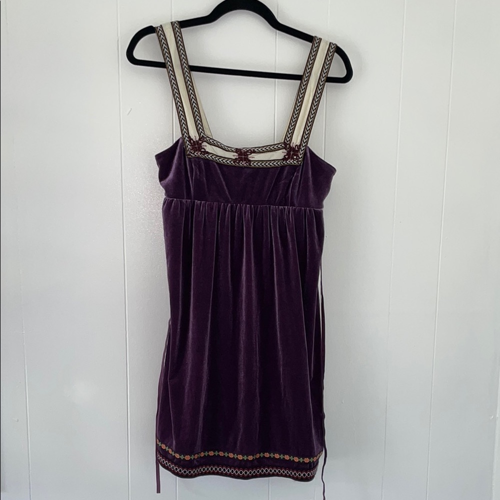 Free People Scandinavian Velvet Dress